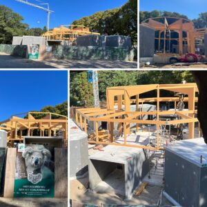koalaverblijf ouwehands dierenpark